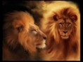 /album/wallpapers/a3d-lions-0800wallpapers-blogspot-com-jpg/