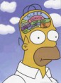/album/wallpapers/homer-brain-large-jpg/